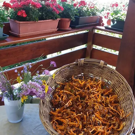 La Casa Del Gelsomino * Ospedaletto (Trentino Alto Adige)